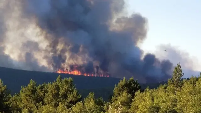 Tavşanlı'daki yangın