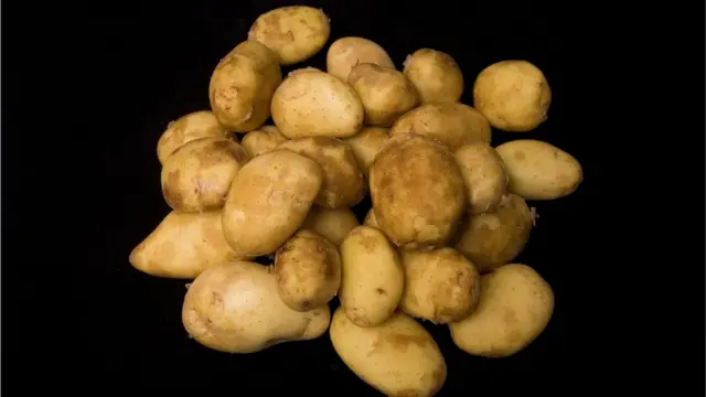 Картошка сорта Королевская джерсийская