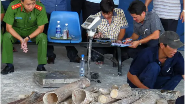Buôn lậu ngà voi