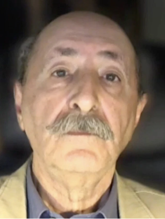 هژیر تیموریان