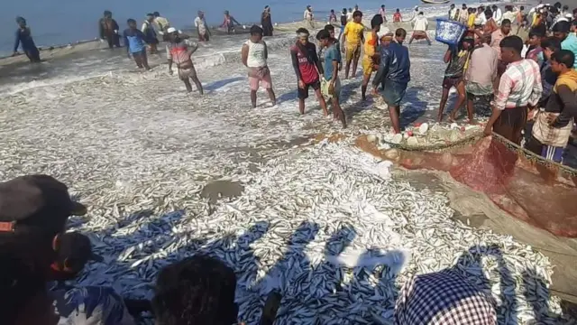 মাছে সয়লাব জাল।