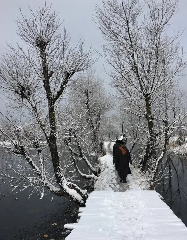 कश्मीर, पोलर वोर्टेक्स, polar vortex, ध्रुवीय चक्रवात
