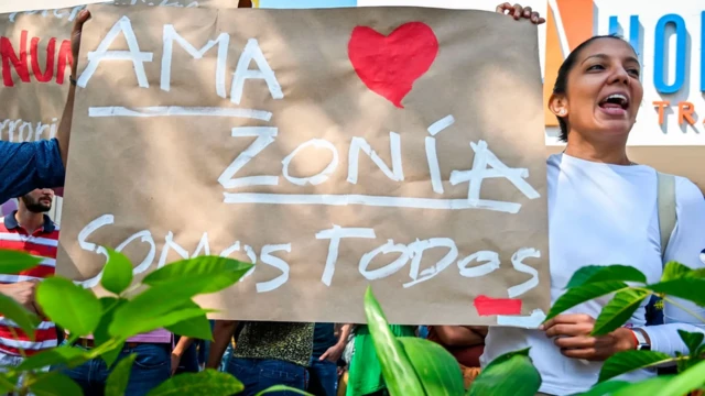 Certains juristes affirment que le droit de l'homme à un environnement sain a facilité la protection d'écosystèmes tels que la forêt amazonienne.