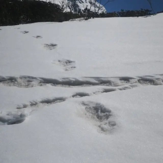 सेना ने ट्विटर पर साझा की ये तस्वीर