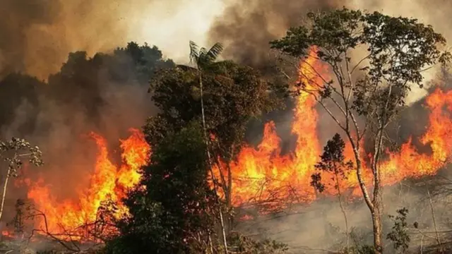 காட்டுத்தீ