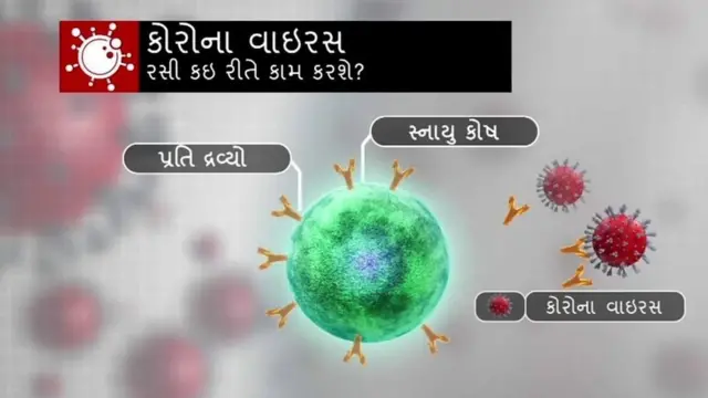 રસી