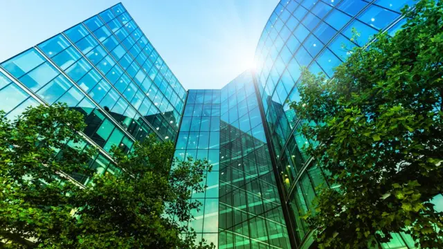 Árboles en la ciudad