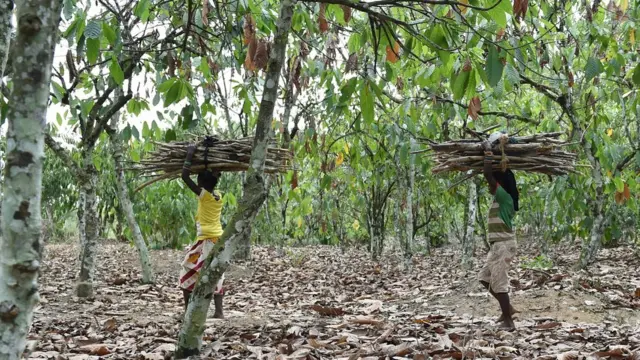 Aworan awon omo ninu oko