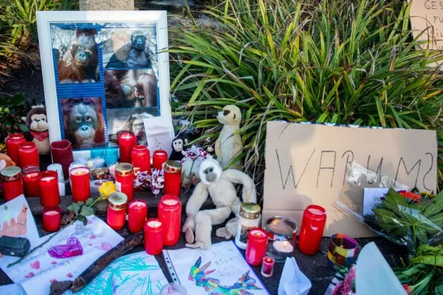 Memorial a los monos que murieron