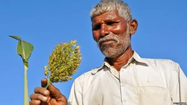 प्रातिनिधिक फोटो