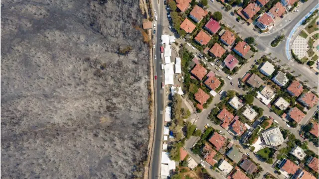 حرائق الغابات في تركيا