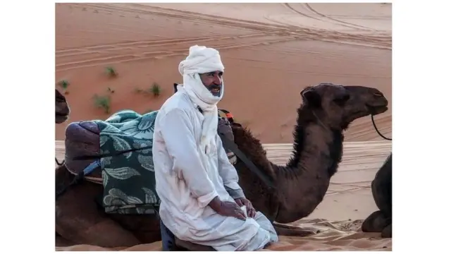 Saharada berber və dəvəsi