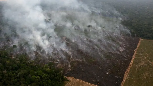 Incêndio na floresta amazônica na regiãoaladdin casino onlinePorto Velho