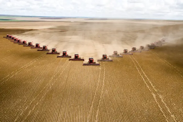 Soja no Mato Grosso do Sul