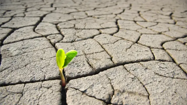 માટીમાં જીવન છે, અને માનવ જીવન માટે અત્યંત જરૂરી છે કે માટીની ગુણવત્તા જળવાઈ રહેવી જોઈએ, તેમાં ખનિજોનું પ્રમાણ ઘટવું ન જોઈએ