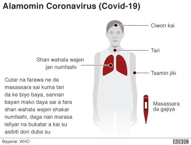 alamun cutar korona