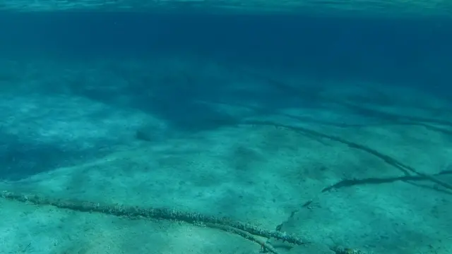 Lecho submarino