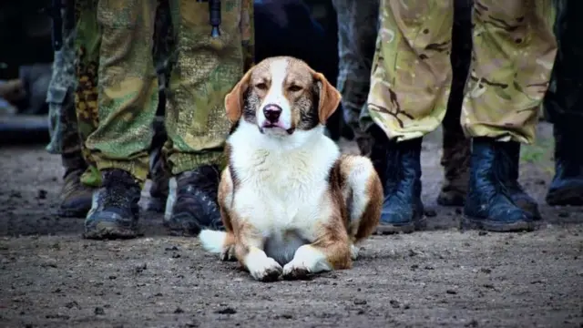 Пес