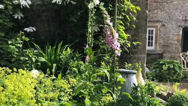 乡间别墅的花园