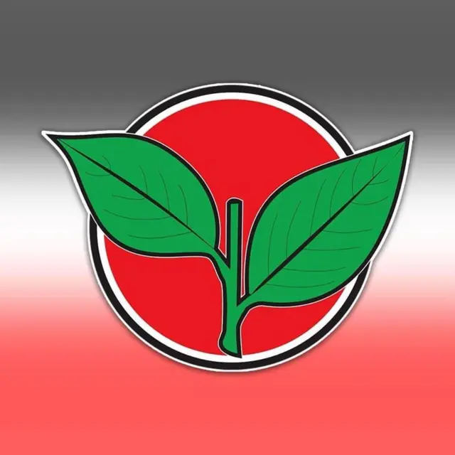 இரட்டை இலை