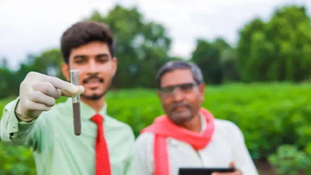 மண் பரிசோதனை