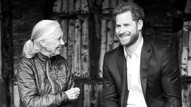 Британский этолог Джейн Гудолл и принц Гарри