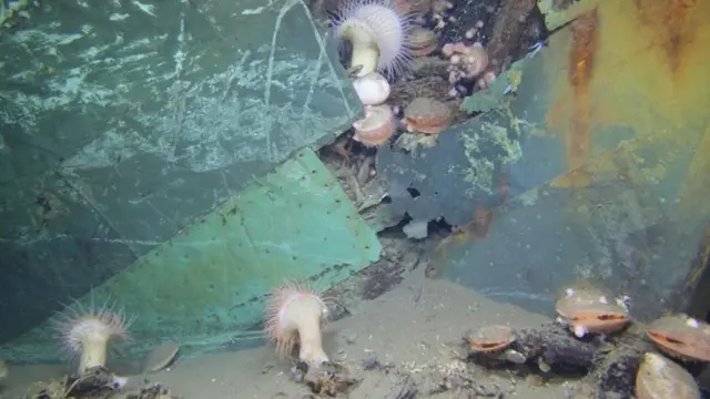 墨西哥湾的一艘海底沉船