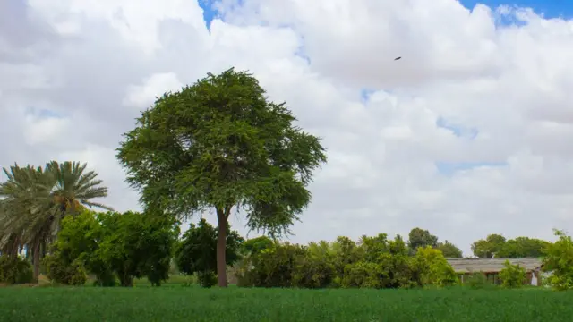 ملیر ایکسپریس وے