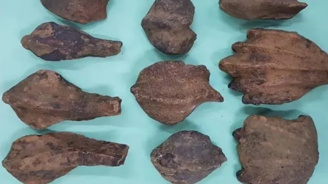 பழங்கால ஈழத் தமிழர்களின் நாக வழிபாடு: புதிய தொல்லியல் ஆதாரங்கள்