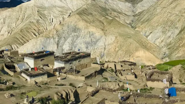शे फोक्सुण्डो
