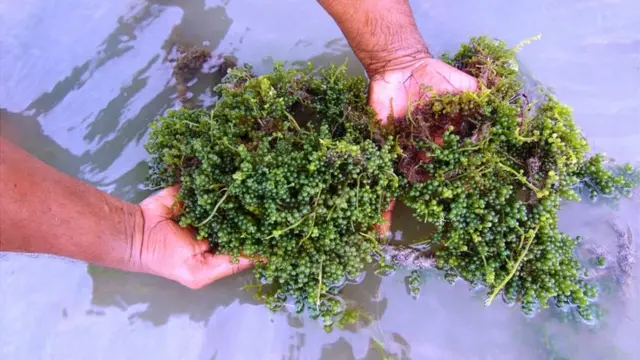 Өзімді сордым