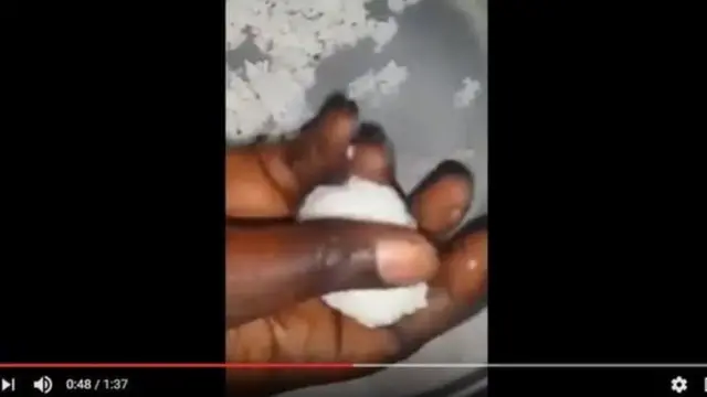 Plastic rice