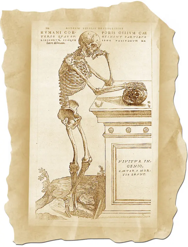 Ilustración de "De humani corporis fabrica"