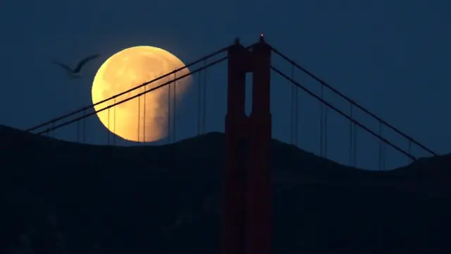 ઉગતો ચંદ્ર