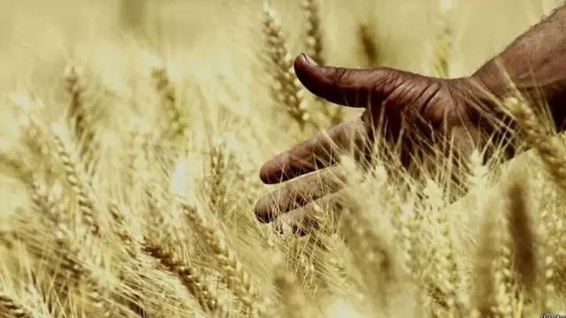 రైతుల నిరసనలు