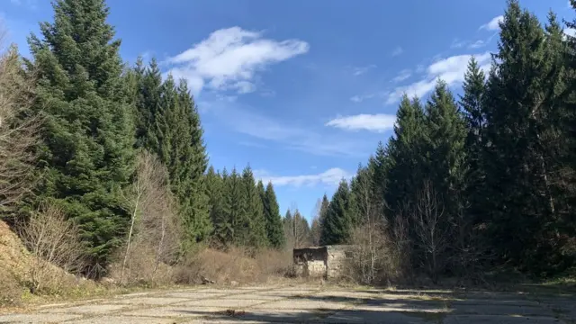 Poligon iza karaule sa borovima, koji su bili mladice pre 25 godina, kaže nekadašnji komandant OVK