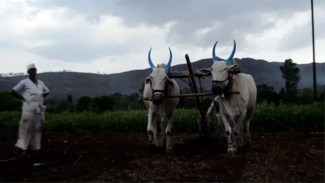 किसान आंदोलन