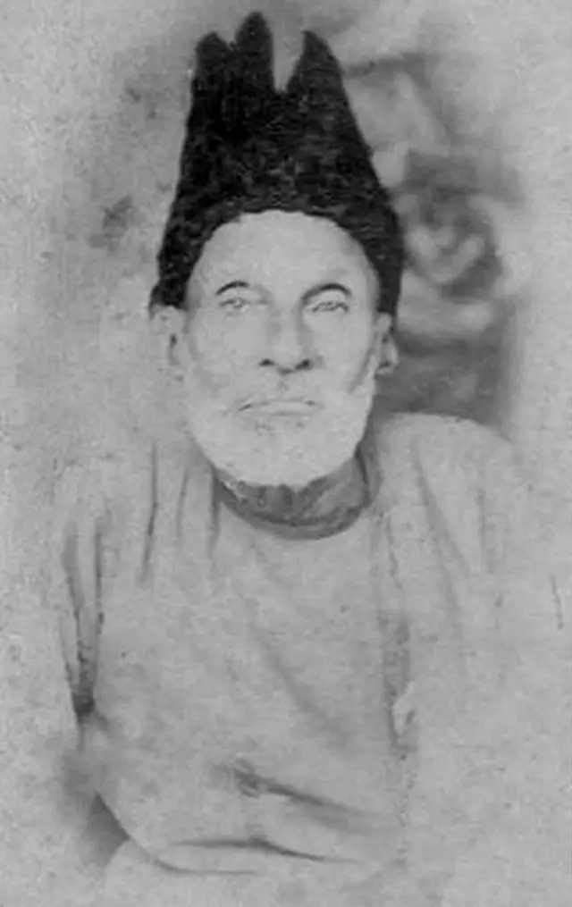 ગાલિબની તસવીર