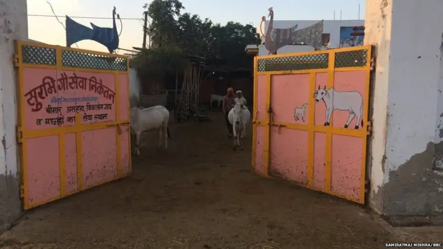 ગૌશાળા