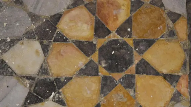 （Credit: Sara Toth Stub）