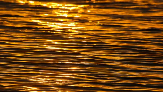 Побережье в паутине