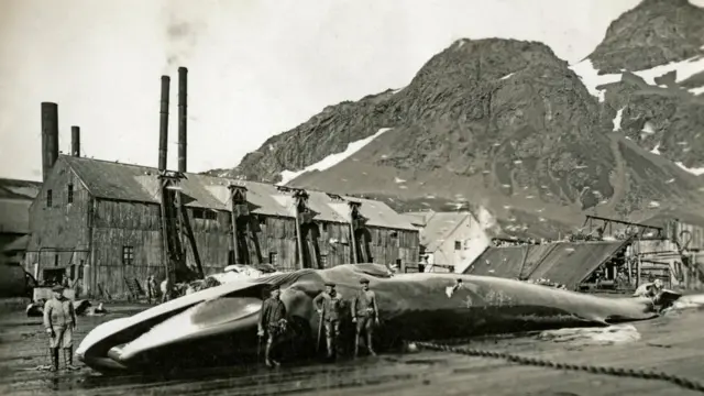 Grytviken