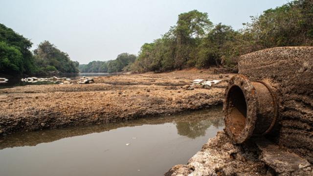 Vertido de aguas residuales en un río seco en el Pantanal. En 2020 la región sufrió la peor sequía de la historia.