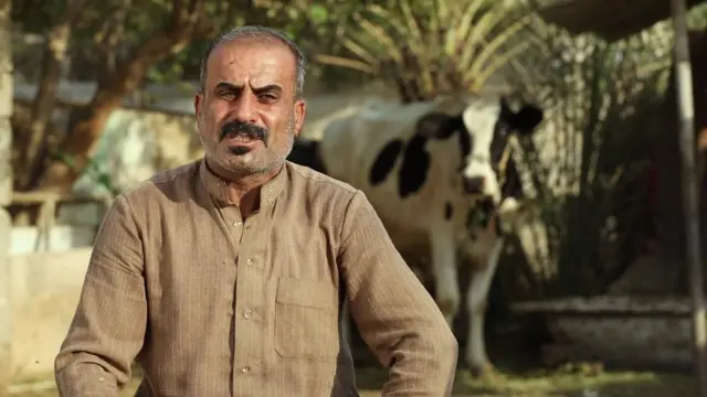 livestock breeder in iraq