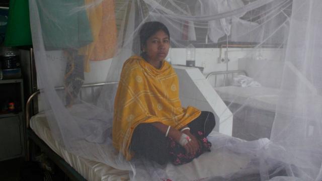ডেঙ্গু নিয়ে ঢাকার হাসপাতালে ভর্তি