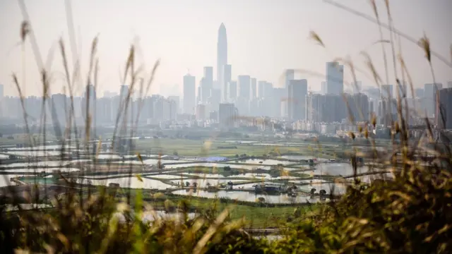 从香港边境田野眺望深圳的摩天大楼（资料图片）