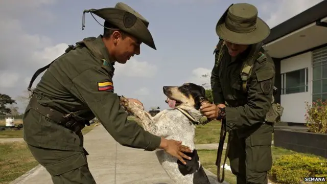 ตำรวจเชื่อว่าโอโตจะสามารถทำให้เจ้าหน้าที่เข้าถึงตัวของโอโตเนียลนายเก่าของมันได้