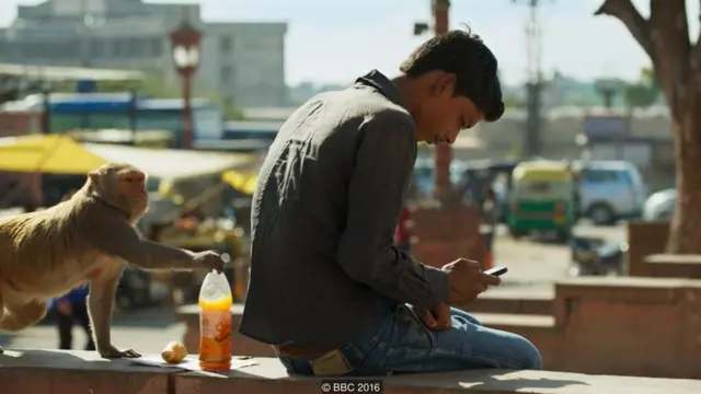 Lũ khỉ tại Jaipur nghịch ngợm 'chôm' đi bất kỳ món đồ ăn, thức uống nào chúng vớ được
