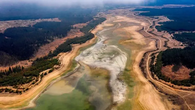 Віруси планета