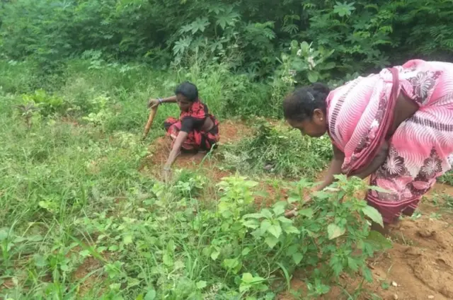 ఎల్జీ పాలిమర్స్